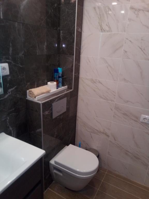 Apartment Nenov スコピエ エクステリア 写真