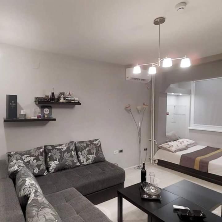 Apartment Nenov スコピエ エクステリア 写真